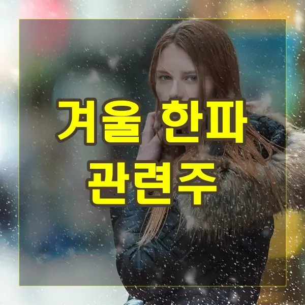 겨울 한파 관련주 수혜주 테마주 대장주 경동나비엔 파세코 TOP 7 소개