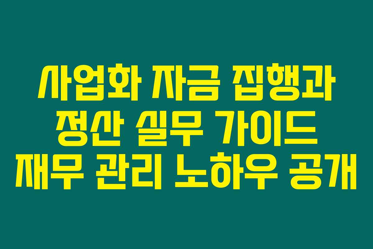 사업화 자금 집행과 정산 실무 가이드 재무 관리 노하우 공개