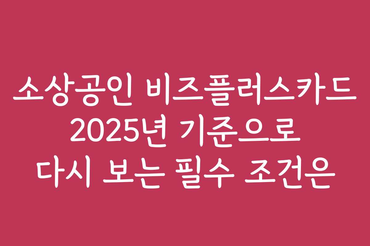 소상공인 비즈플러스카드 2025년 기준으로 다시 보는 필수 조건은