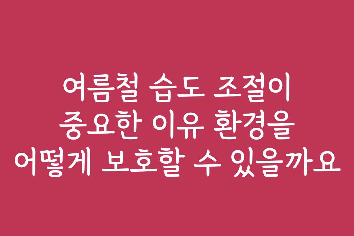 여름철 습도 조절이 중요한 이유 환경을 어떻게 보호할 수 있을까요