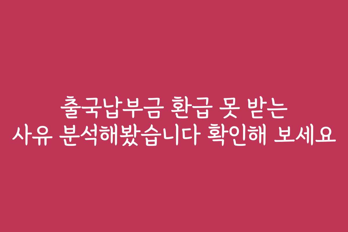 출국납부금 환급 못 받는 사유 분석해봤습니다 확인해 보세요