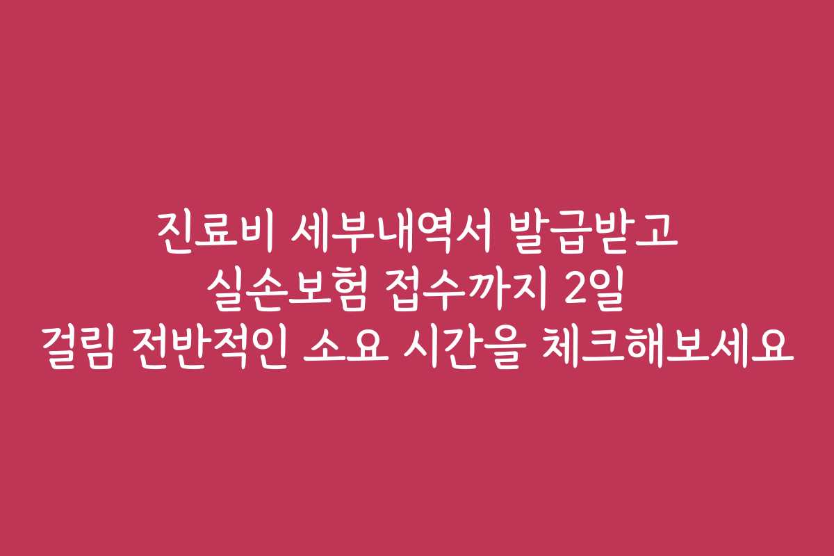 진료비 세부내역서 발급받고 실손보험 접수까지 2일 걸림 전반적인 소요 시간을 체크해보세요