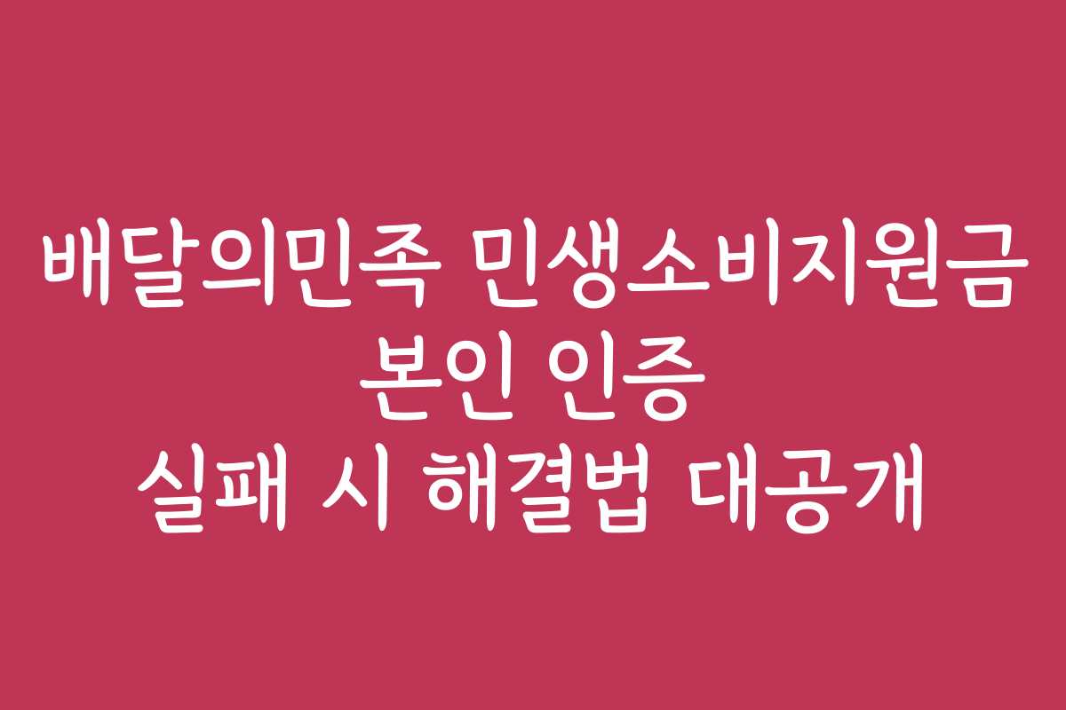 배달의민족 민생소비지원금 본인 인증 실패 시 해결법 대공개