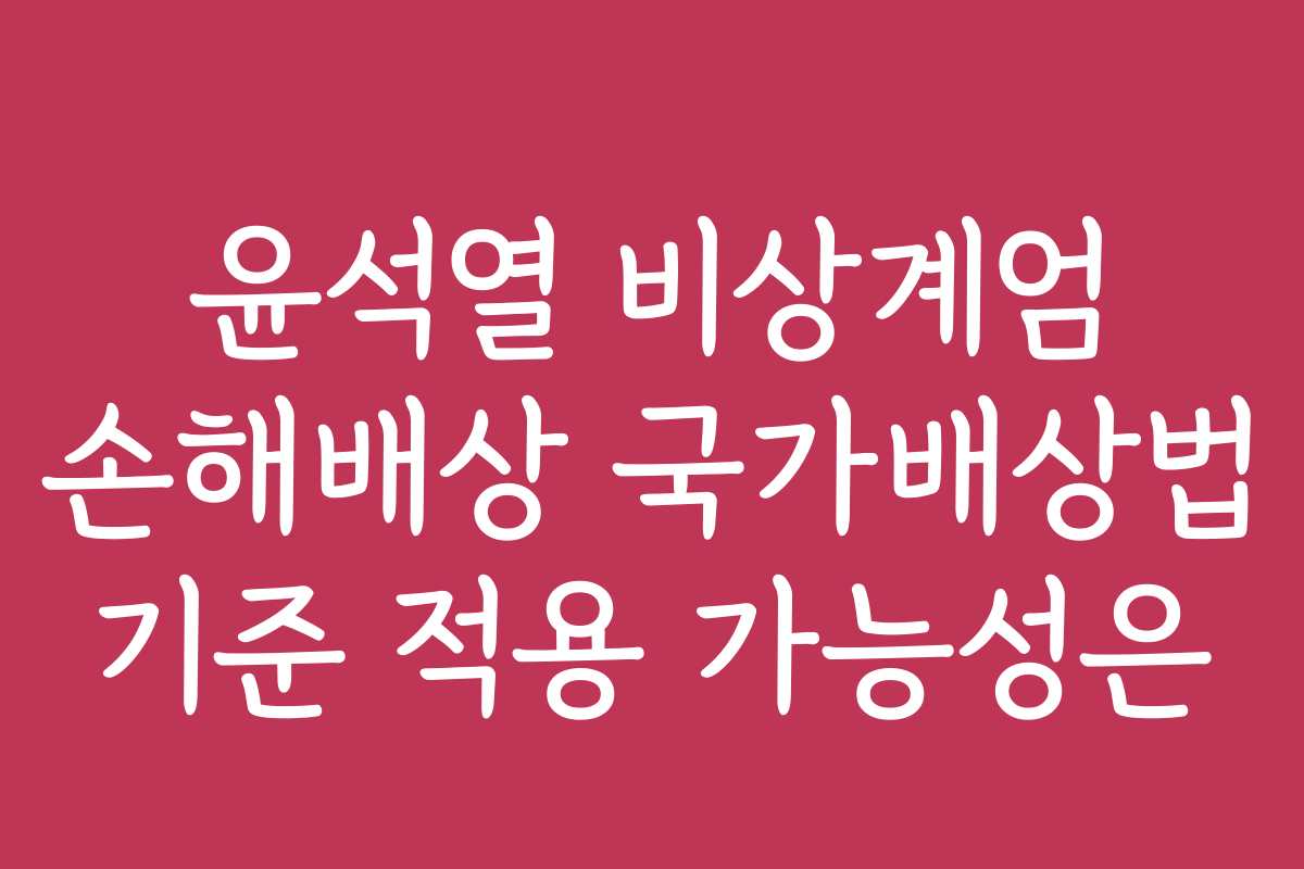 윤석열 비상계엄 손해배상 국가배상법 기준 적용 가능성은