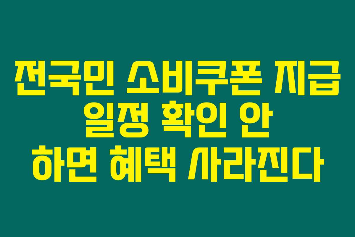 전국민 소비쿠폰 지급 일정 확인 안 하면 혜택 사라진다