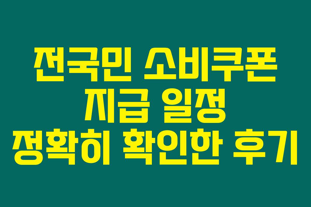 전국민 소비쿠폰 지급 일정 정확히 확인한 후기
