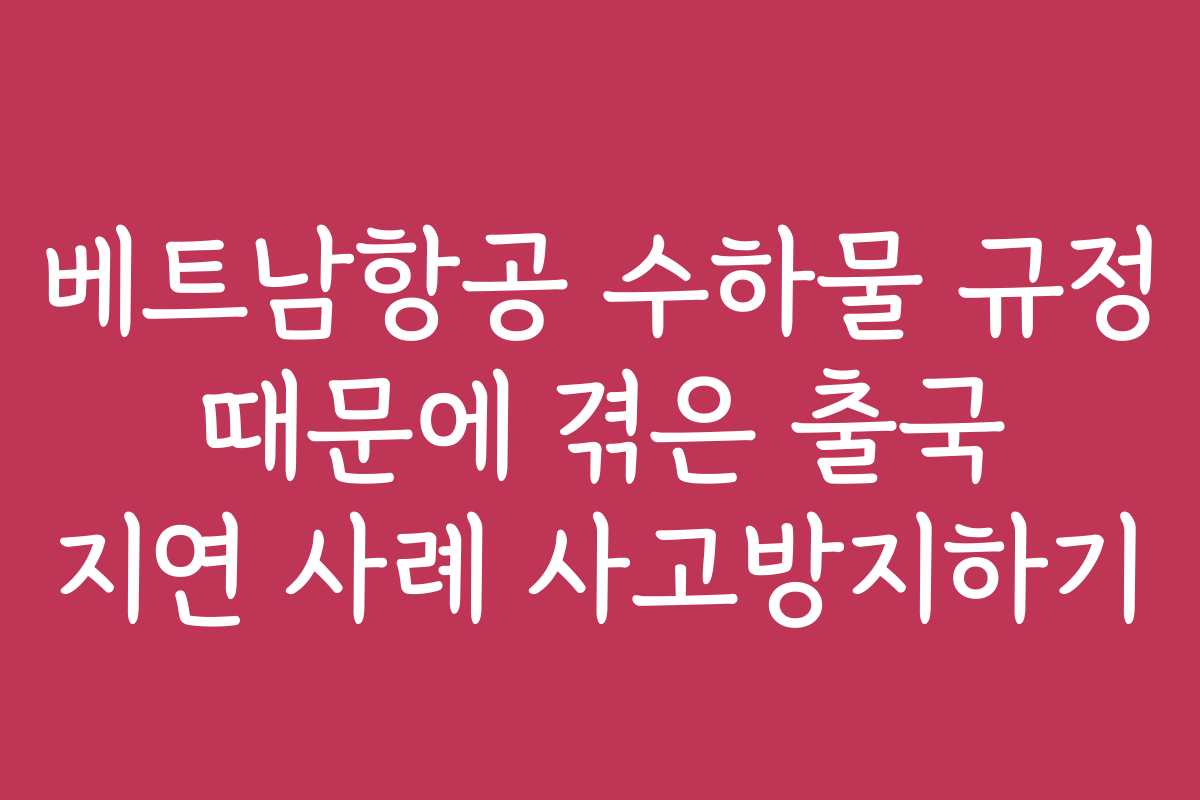 베트남항공 수하물 규정 때문에 겪은 출국 지연 사례 사고방지하기