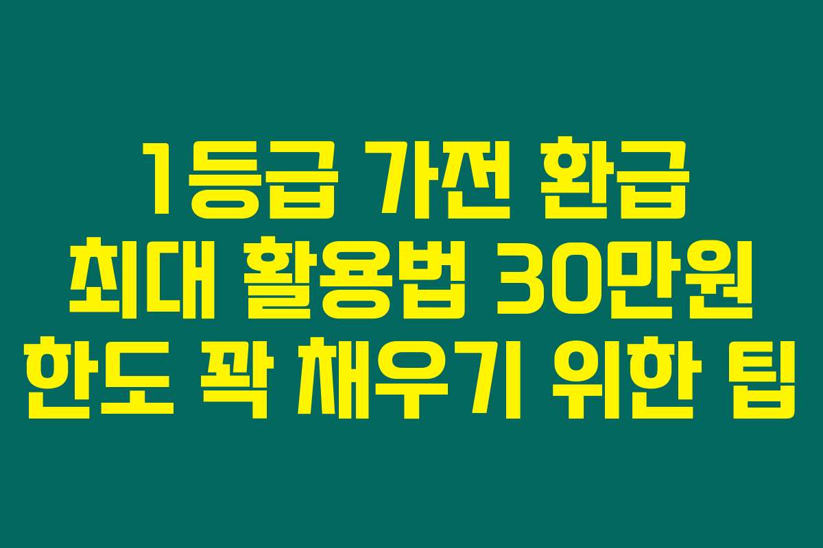 1등급 가전 환급 최대 활용법 30만원 한도 꽉 채우기 위한 팁