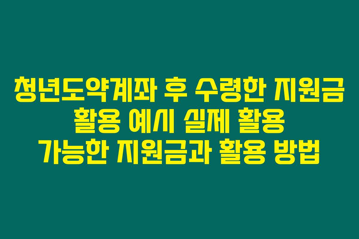 청년도약계좌 후 수령한 지원금 활용 예시 실제 활용 가능한 지원금과 활용 방법