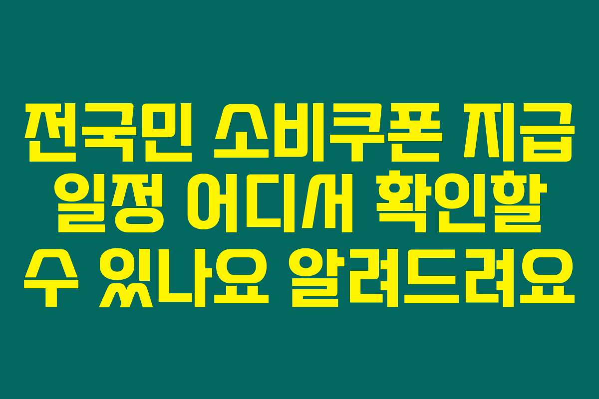 전국민 소비쿠폰 지급 일정 어디서 확인할 수 있나요 알려드려요