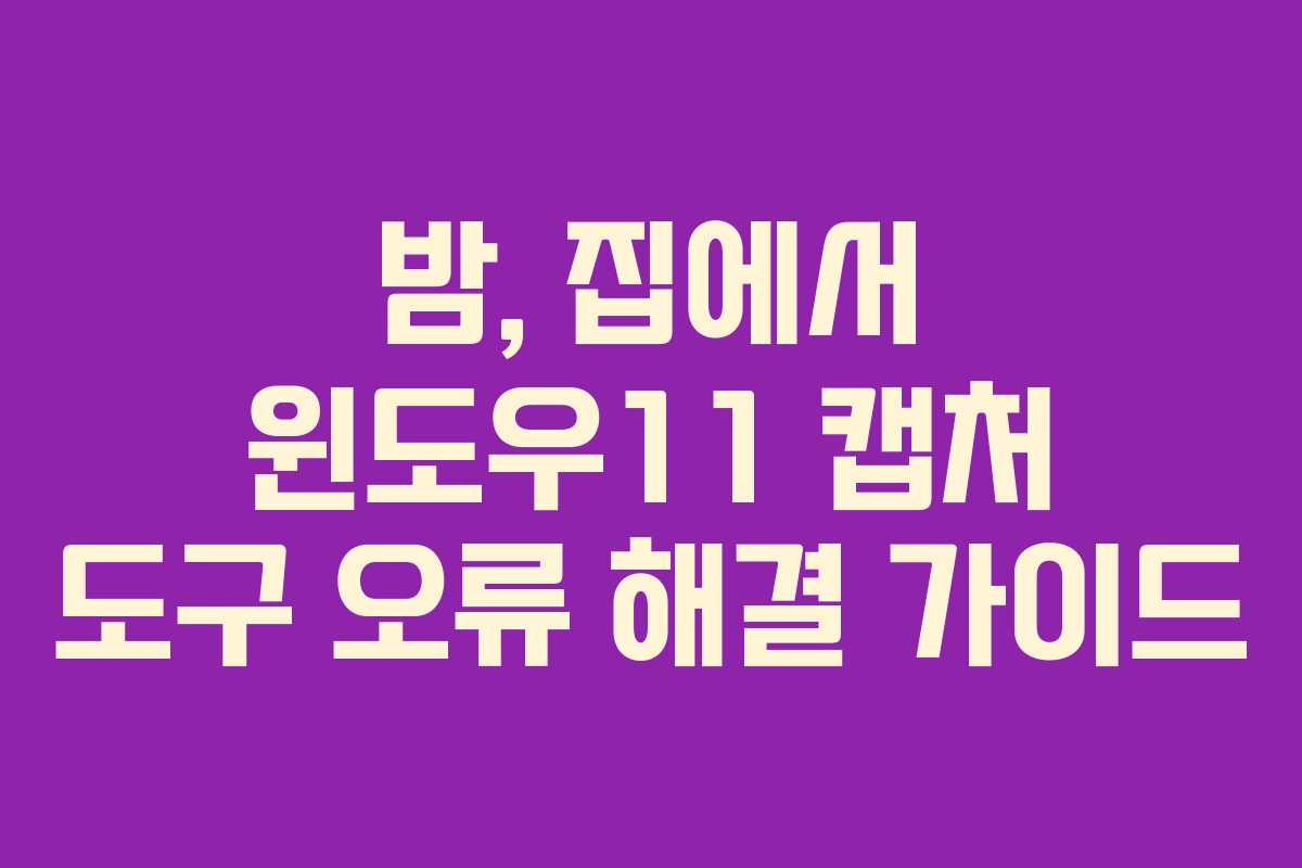 밤, 집에서 윈도우11 캡처 도구 오류 해결 가이드