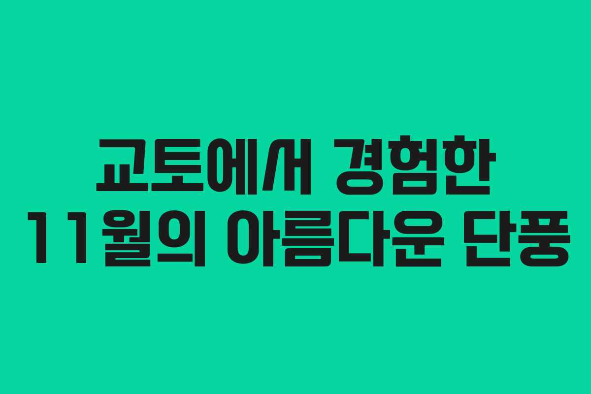 교토에서 경험한 11월의 아름다운 단풍