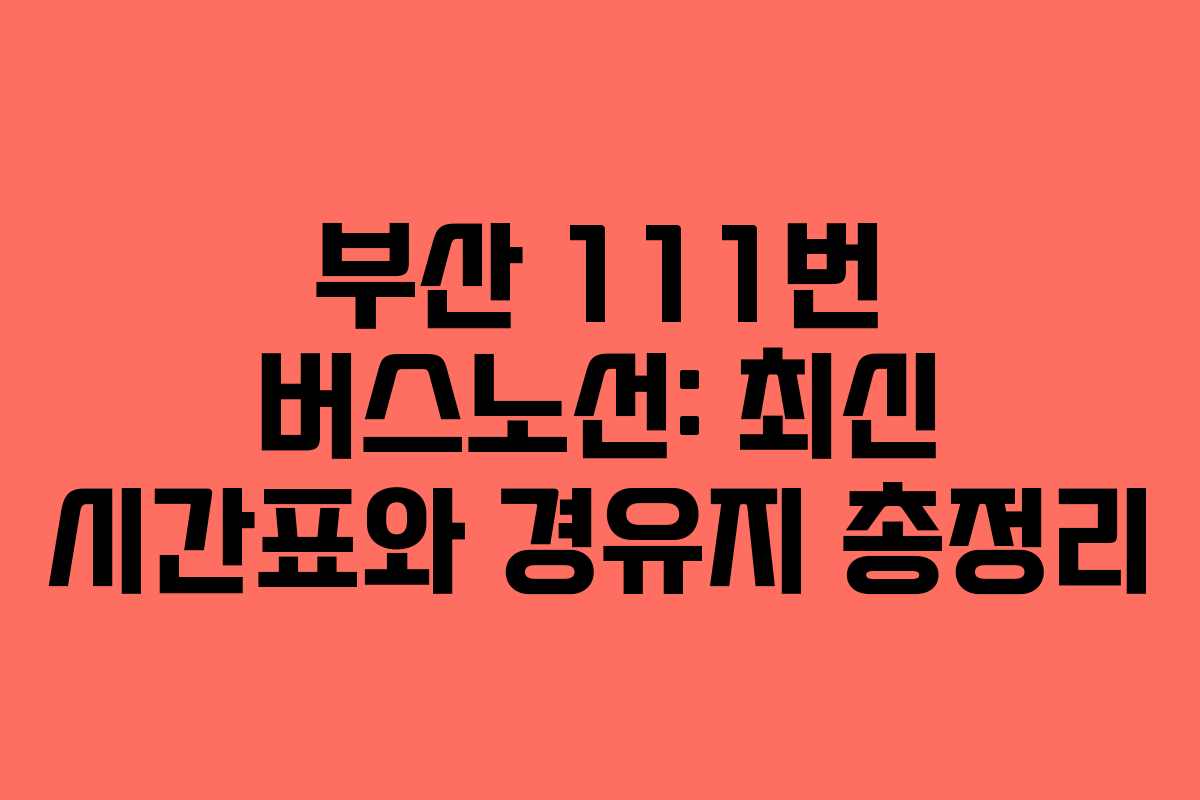 부산 111번 버스노선: 최신 시간표와 경유지 총정리