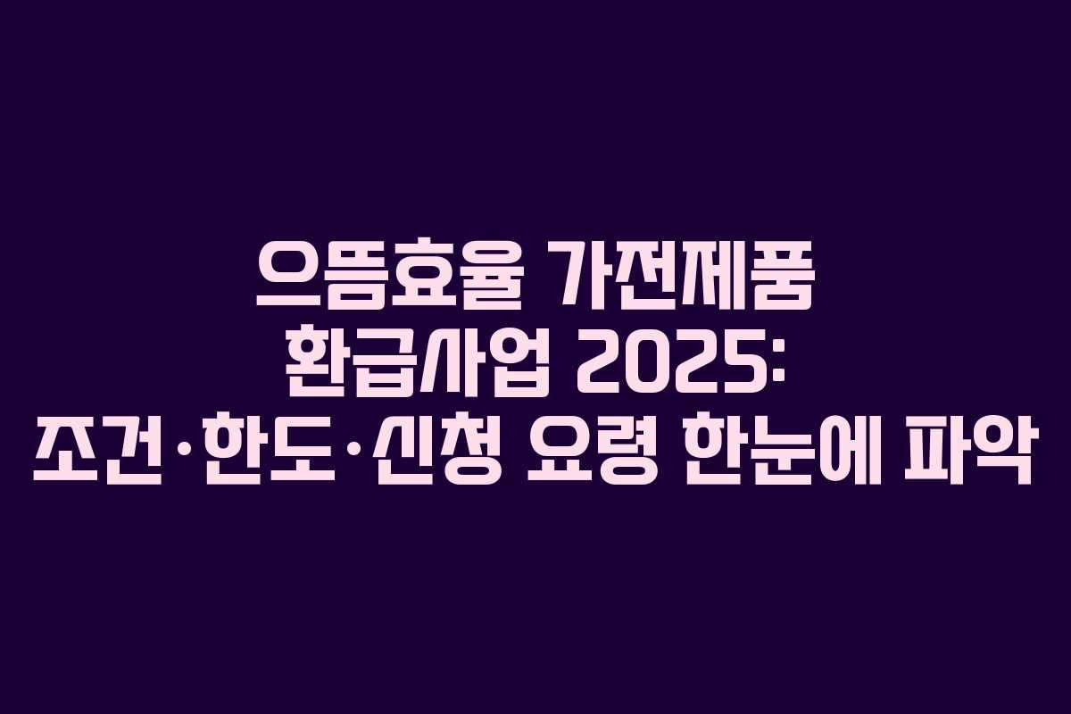 으뜸효율 가전제품 환급사업 2025: 조건·한도·신청 요령 한눈에 파악