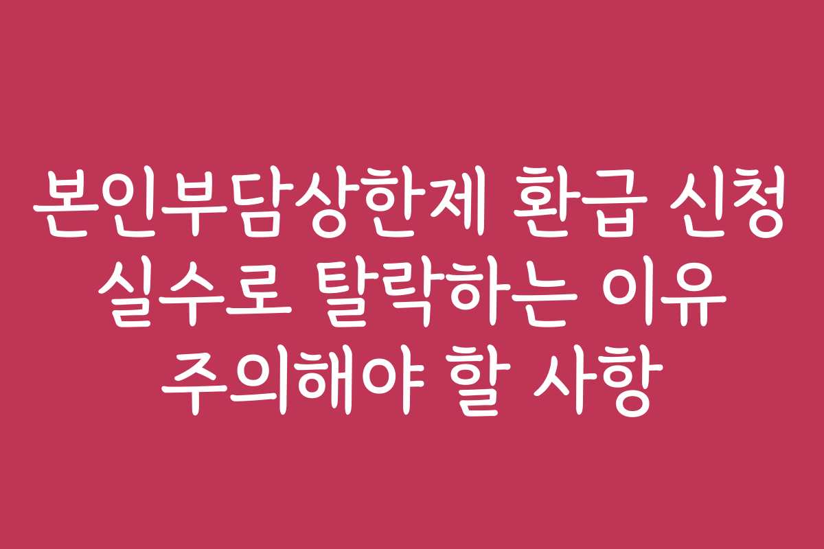본인부담상한제 환급 신청 실수로 탈락하는 이유 주의해야 할 사항