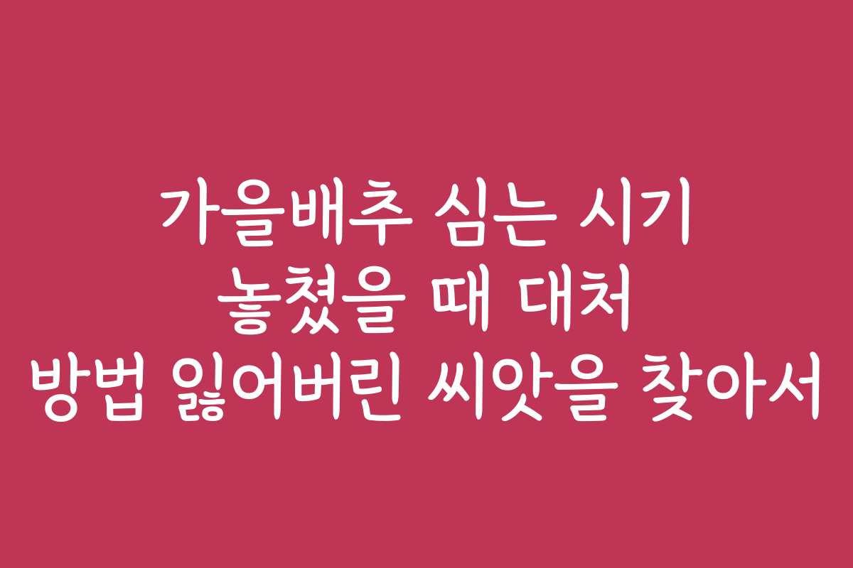 가을배추 심는 시기 놓쳤을 때 대처 방법 잃어버린 씨앗을 찾아서