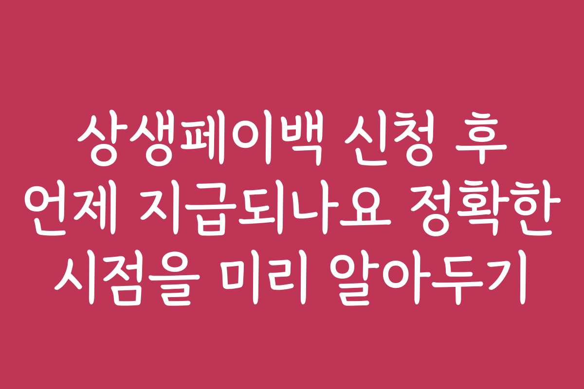 상생페이백 신청 후 언제 지급되나요 정확한 시점을 미리 알아두기