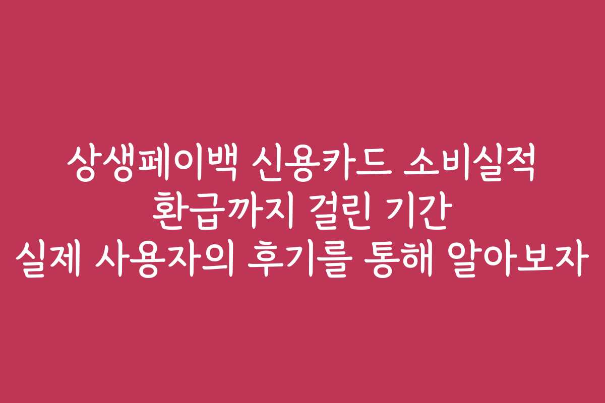 상생페이백 신용카드 소비실적 환급까지 걸린 기간 실제 사용자의 후기를 통해 알아보자