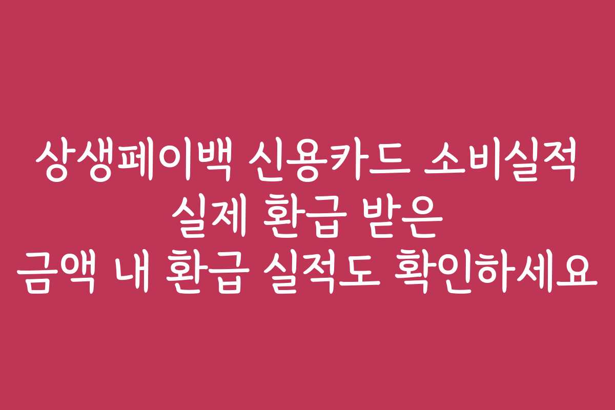 상생페이백 신용카드 소비실적 실제 환급 받은 금액 내 환급 실적도 확인하세요