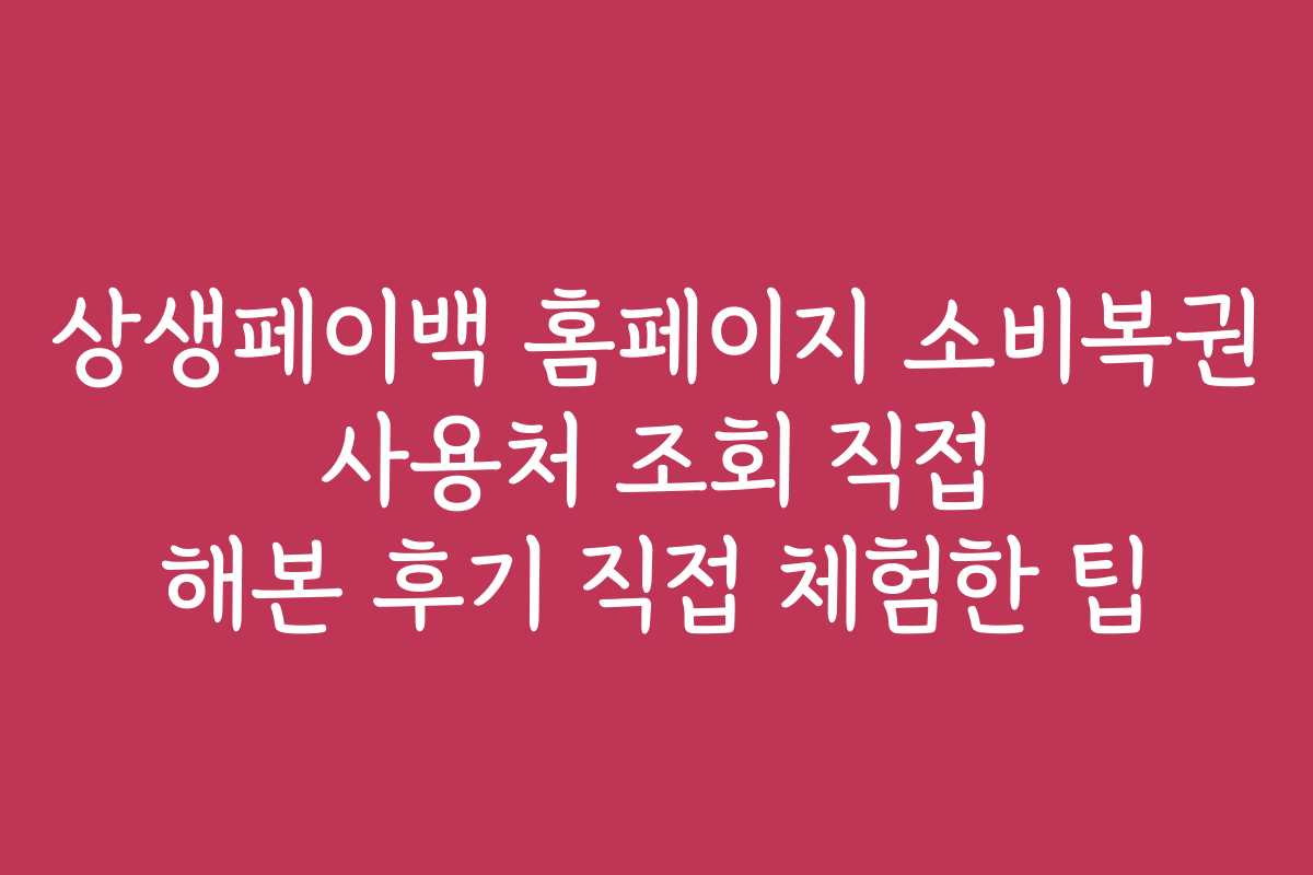 상생페이백 홈페이지 소비복권 사용처 조회 직접 해본 후기 직접 체험한 팁