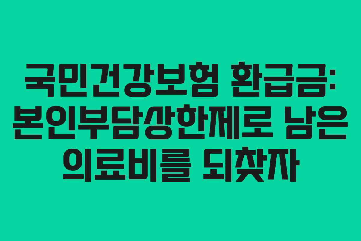 국민건강보험 환급금: 본인부담상한제로 남은 의료비를 되찾자