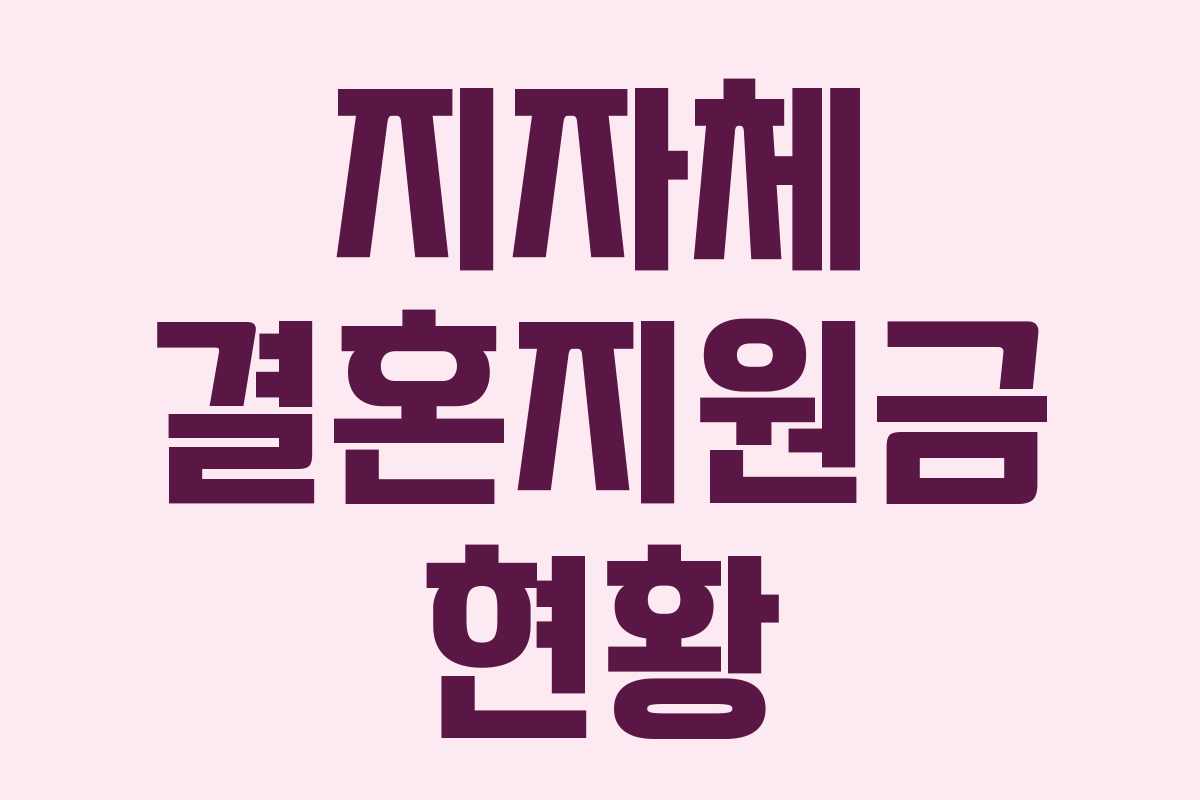 지자체 결혼지원금 현황