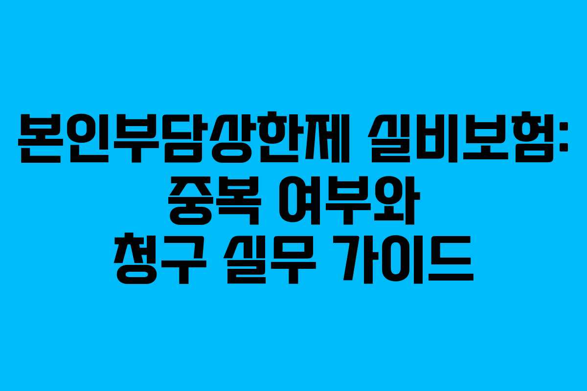본인부담상한제 실비보험: 중복 여부와 청구 실무 가이드