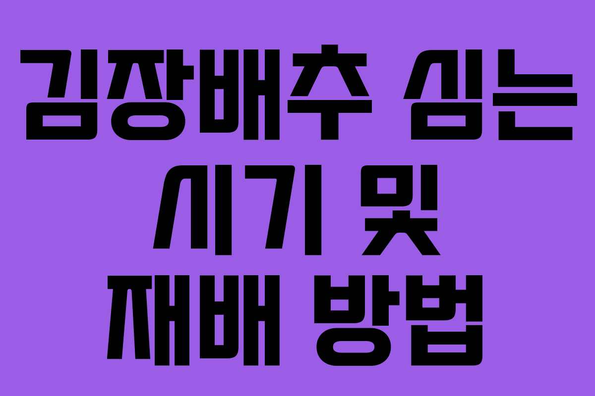 김장배추 심는 시기 및 재배 방법