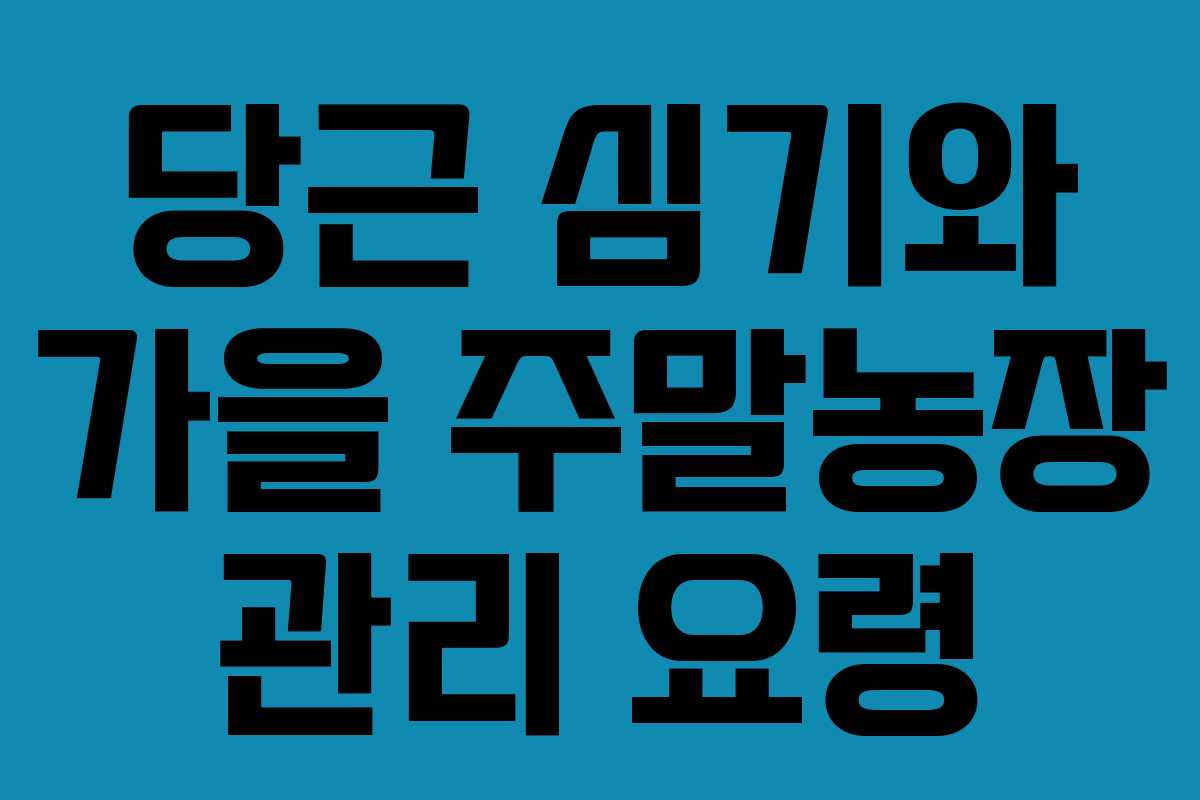 당근 심기와 가을 주말농장 관리 요령