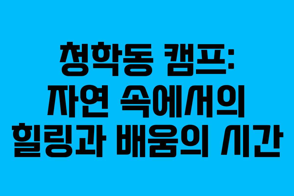 청학동 캠프: 자연 속에서의 힐링과 배움의 시간