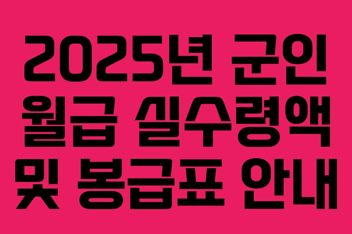 2025년 군인 월급 실수령액 및 봉급표 안내