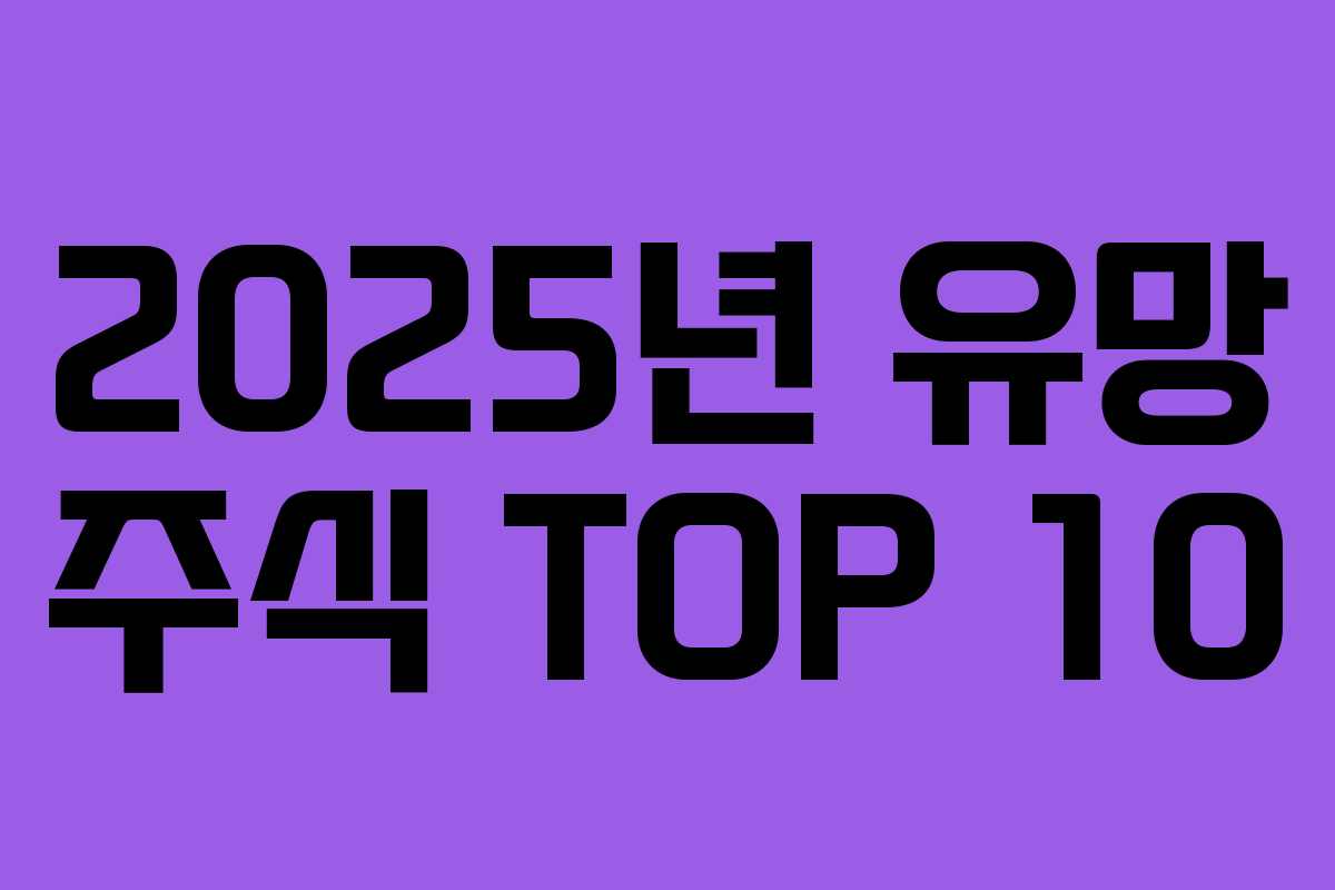 2025년 유망 주식 TOP 10