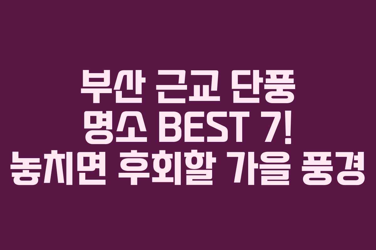 부산 근교 단풍 명소 BEST 7! 놓치면 후회할 가을 풍경