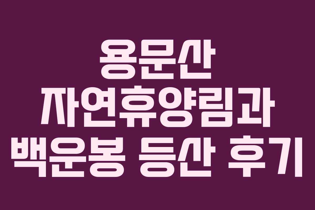 용문산 자연휴양림과 백운봉 등산 후기