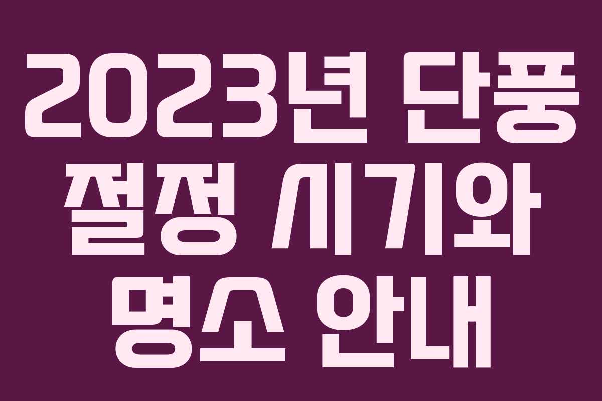 2023년 단풍 절정 시기와 명소 안내