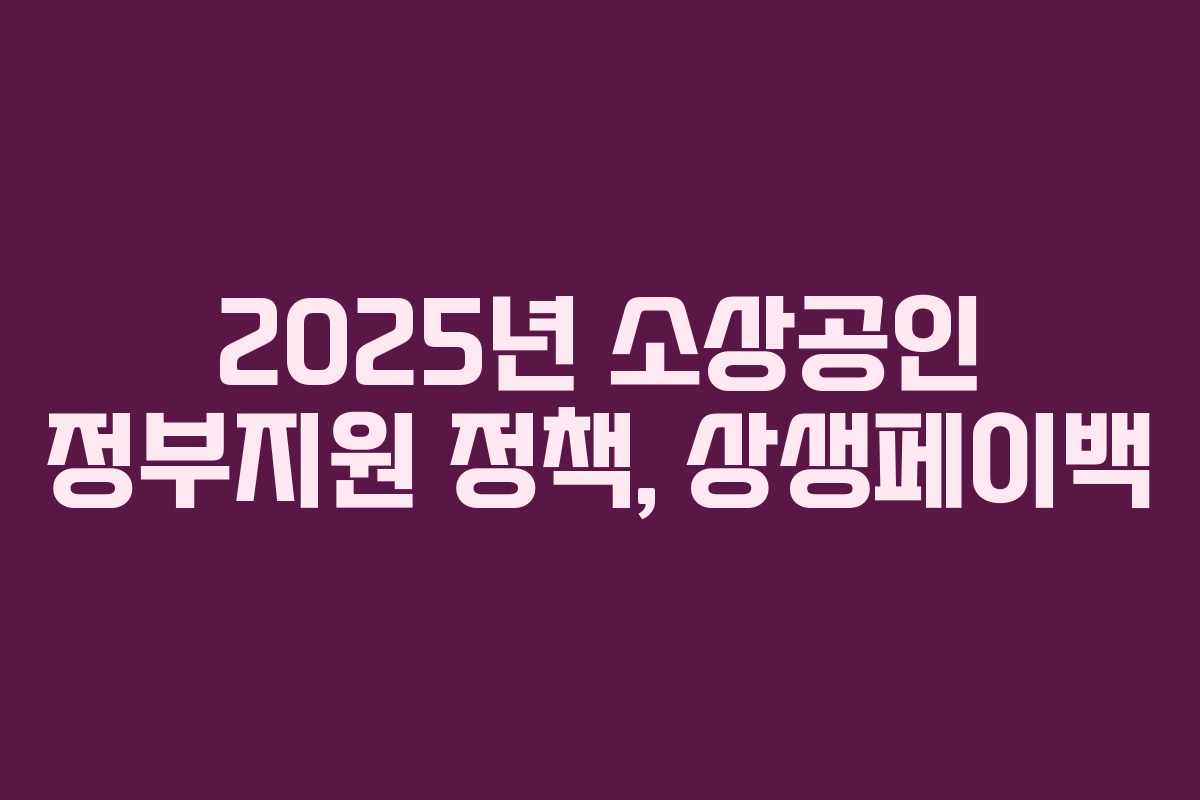 2025년 소상공인 정부지원 정책, 상생페이백 2025년 소상공인 정부지원 정책, 상생페이백