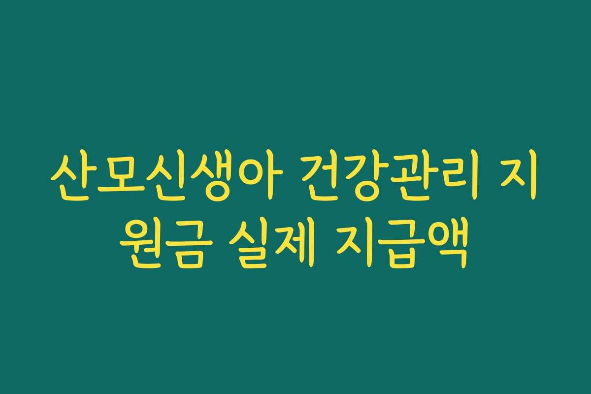 산모신생아 건강관리 지원금 실제 지급액 산모신생아 건강관리 지원금 실제 지급액