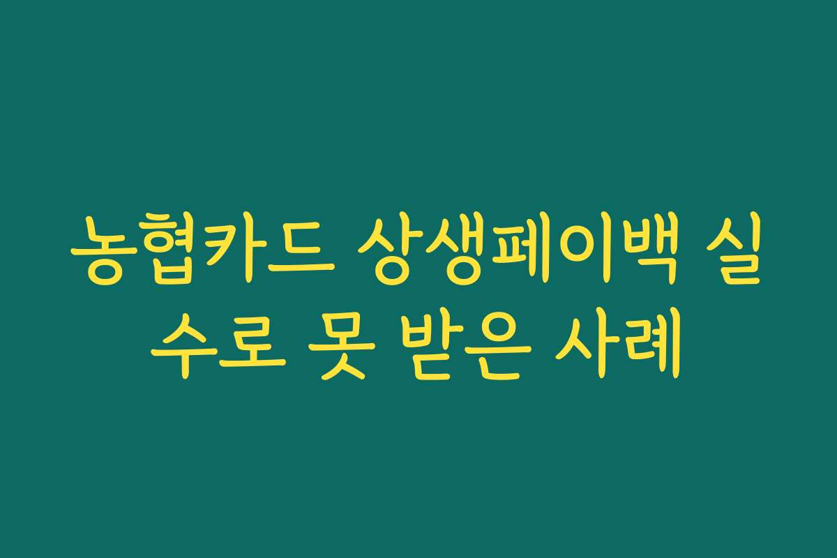 농협카드 상생페이백 실수로 못 받은 사례