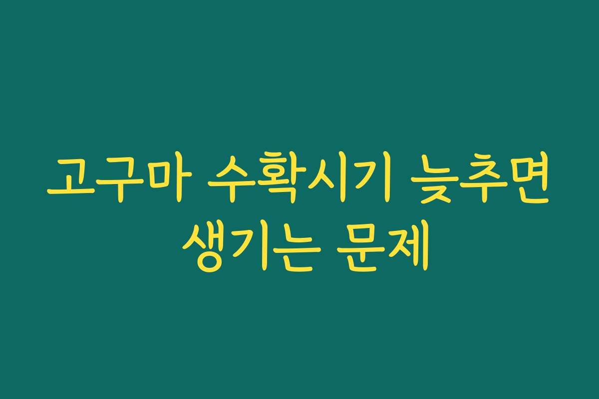 고구마 수확시기 늦추면 생기는 문제