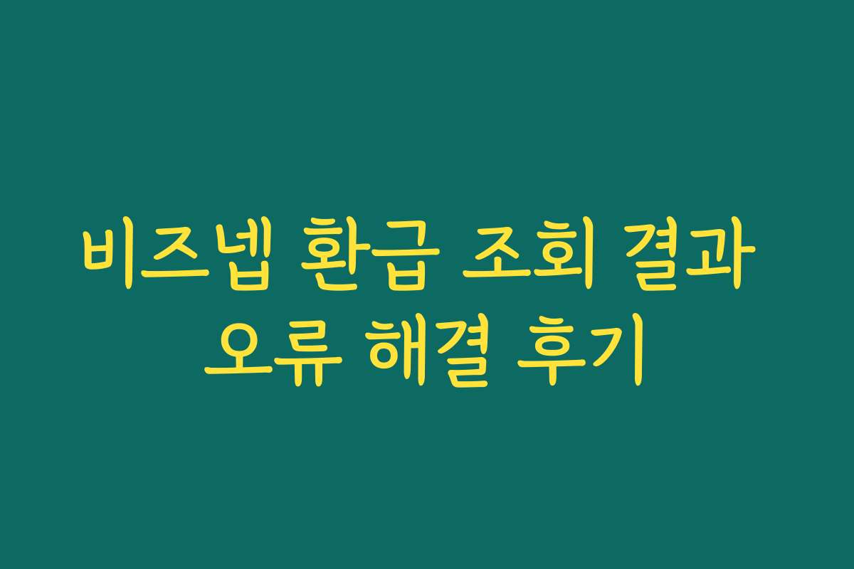 비즈넵 환급 조회 결과 오류 해결 후기