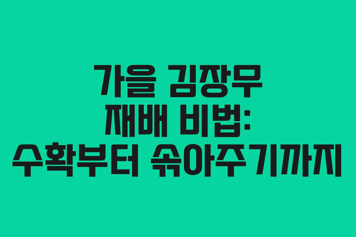 가을 김장무 재배 비법: 수확부터 솎아주기까지
