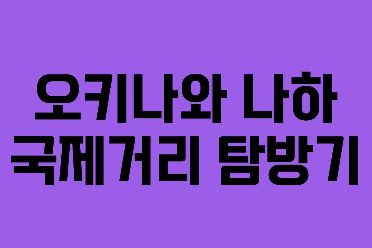 오키나와 나하 국제거리 탐방기 오키나와 나하 국제거리 탐방기