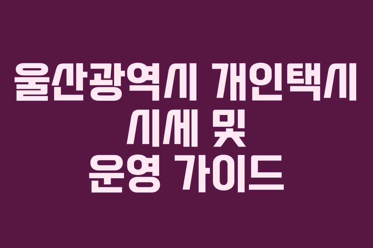 울산광역시 개인택시 시세 및 운영 가이드 울산광역시 개인택시 시세 및 운영 가이드