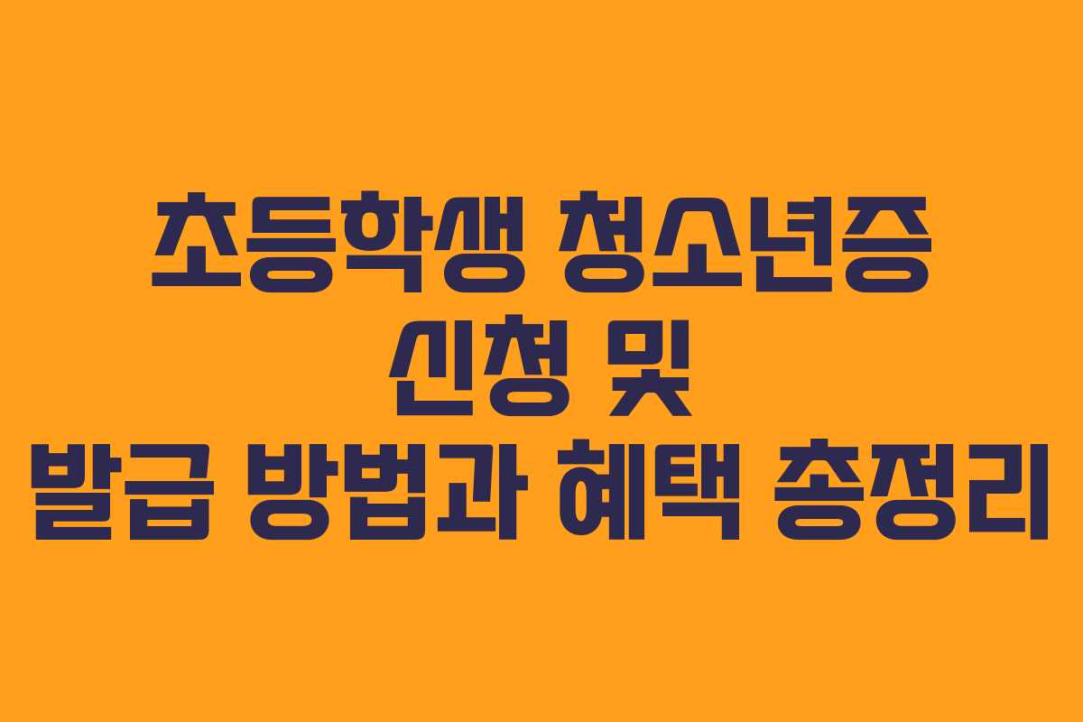 초등학생 청소년증 신청 및 발급 방법과 혜택 총정리 초등학생 청소년증 신청 및 발급 방법과 혜택 총정리