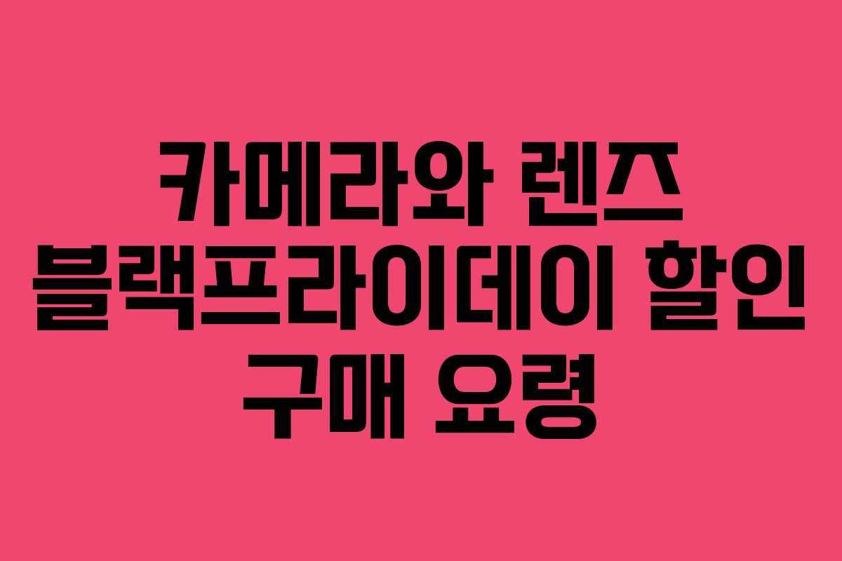 카메라와 렌즈 블랙프라이데이 할인 구매 요령 카메라와 렌즈 블랙프라이데이 할인 구매 요령