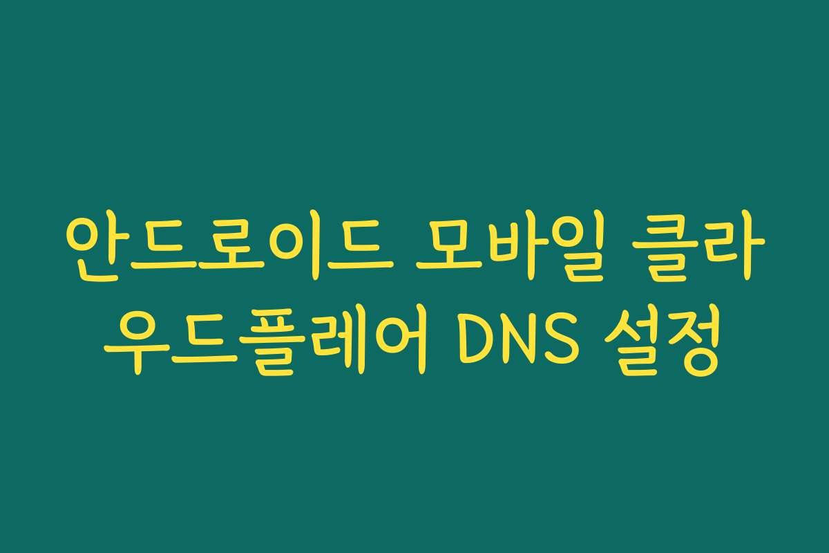 안드로이드 모바일 클라우드플레어 DNS 설정