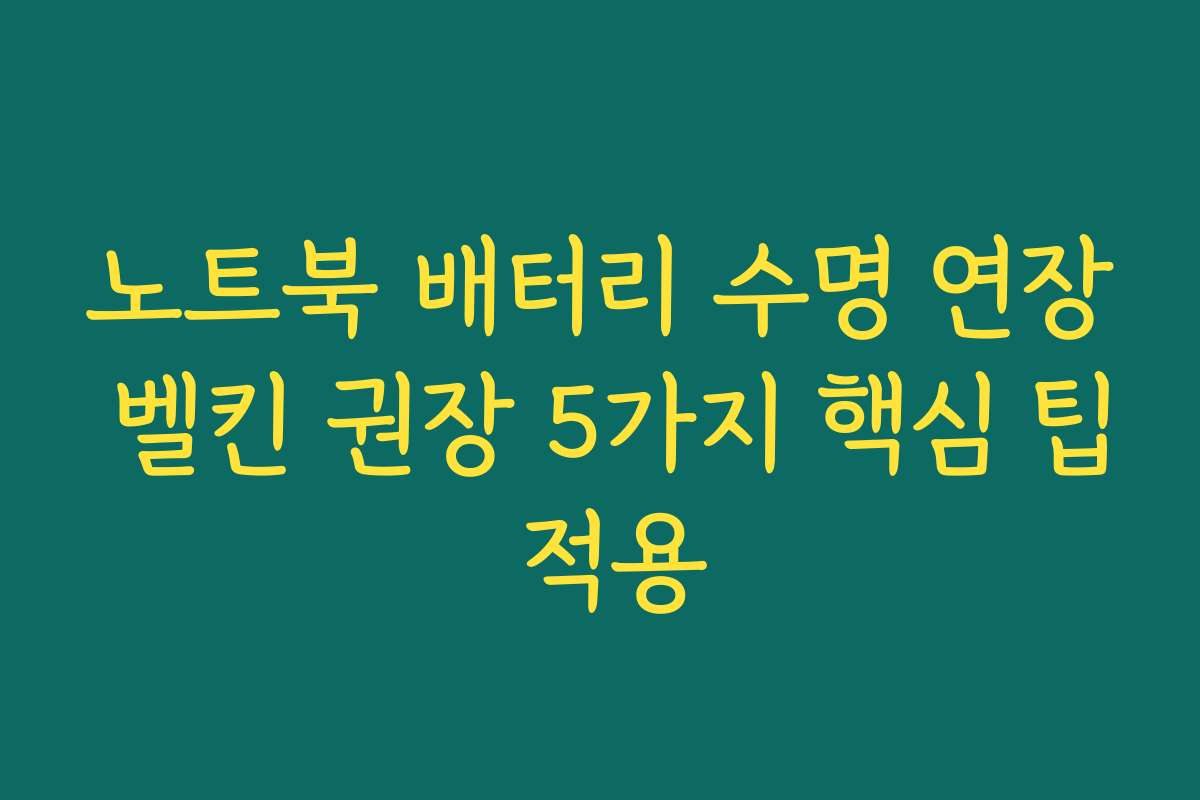 노트북 배터리 수명 연장 벨킨 권장 5가지 핵심 팁 적용