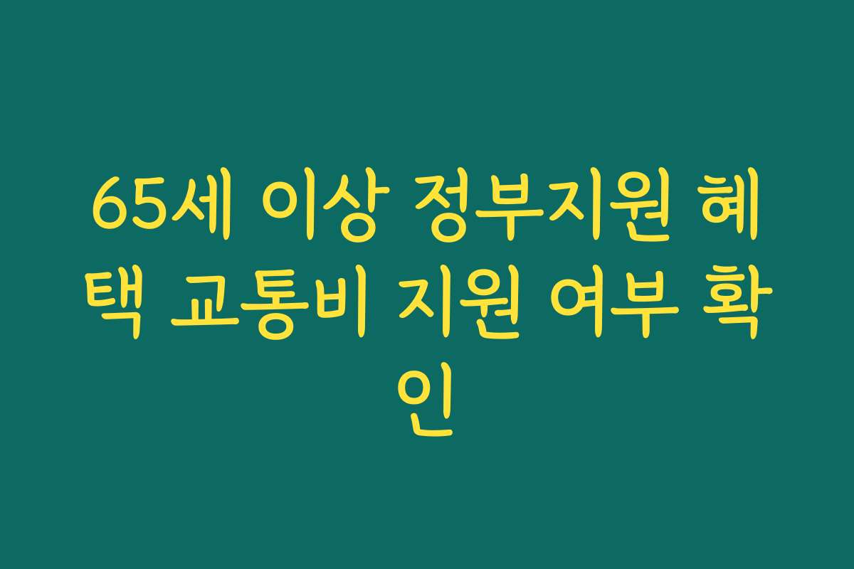 65세 이상 정부지원 혜택 교통비 지원 여부 확인
