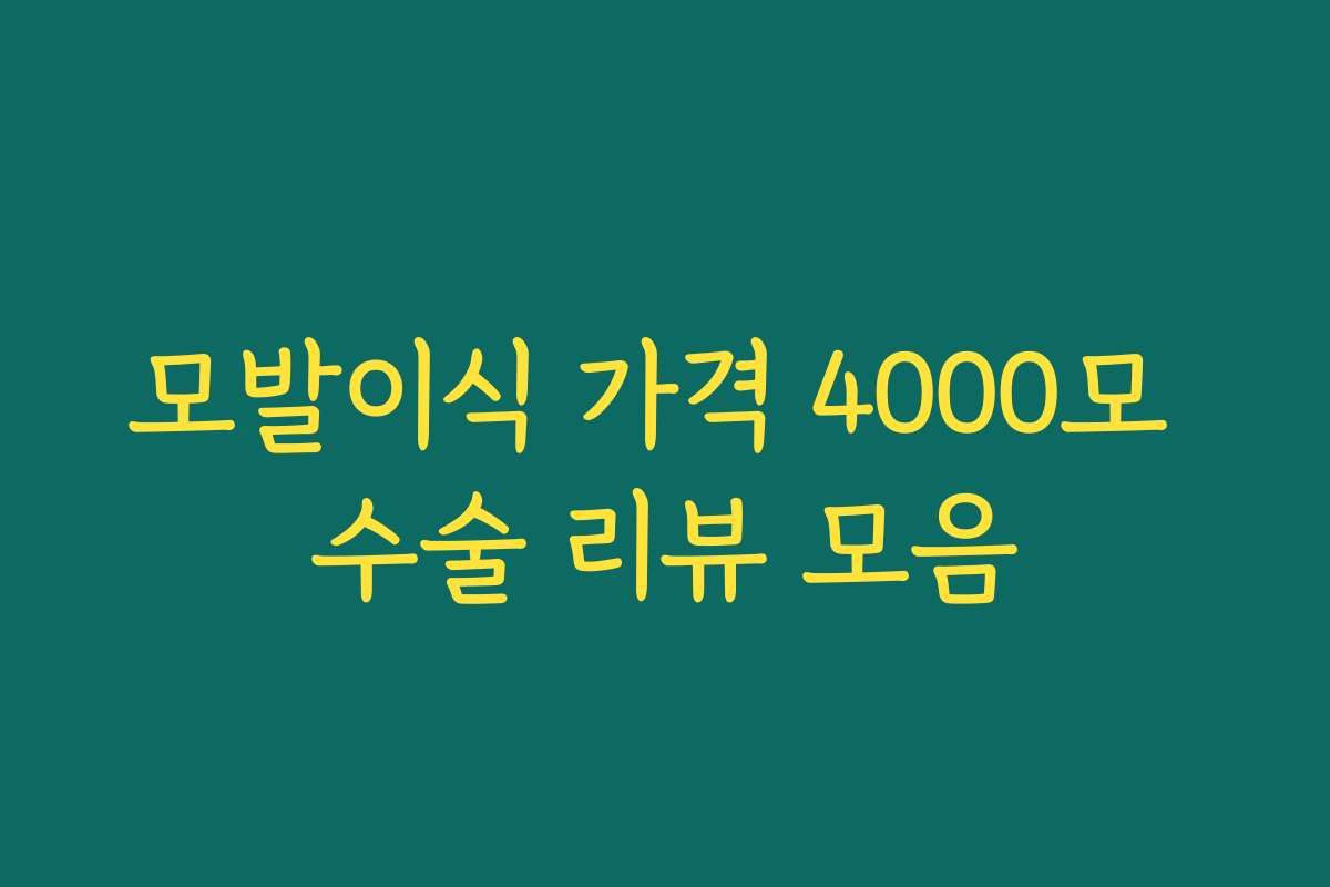 모발이식 가격 4000모 수술 리뷰 모음