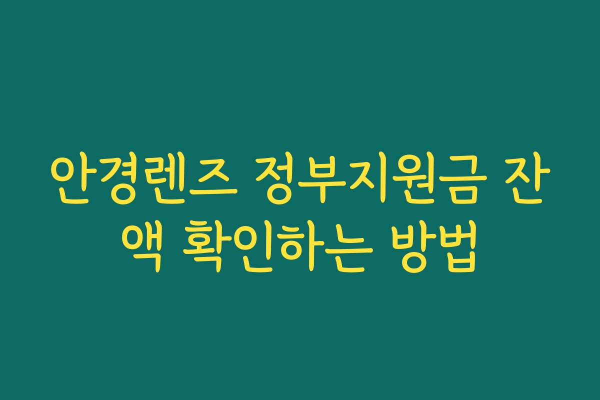안경렌즈 정부지원금 잔액 확인하는 방법